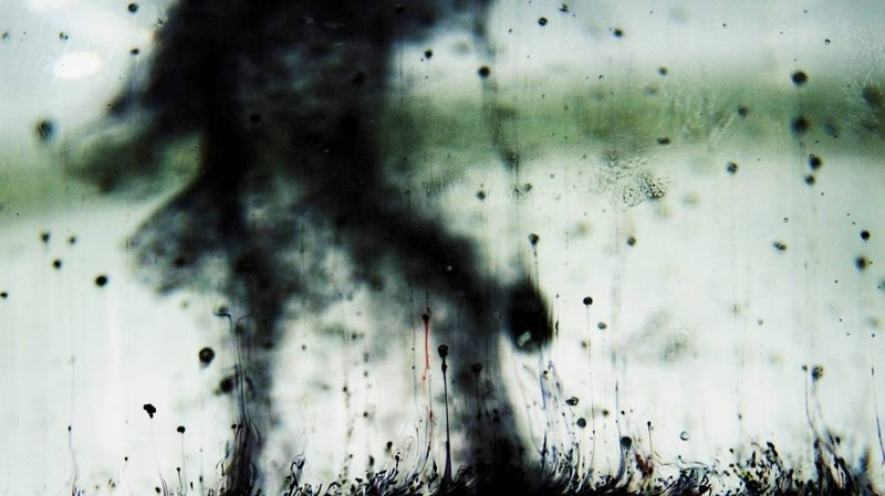 Illustration for article titled Shooting Challenge Gallery : Sunshine II
